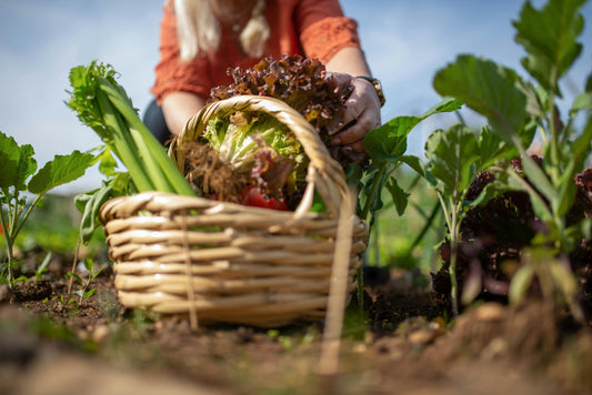5 Quick Ways to Make Your Diet More Sustainable (Without Compromising Nutrition)