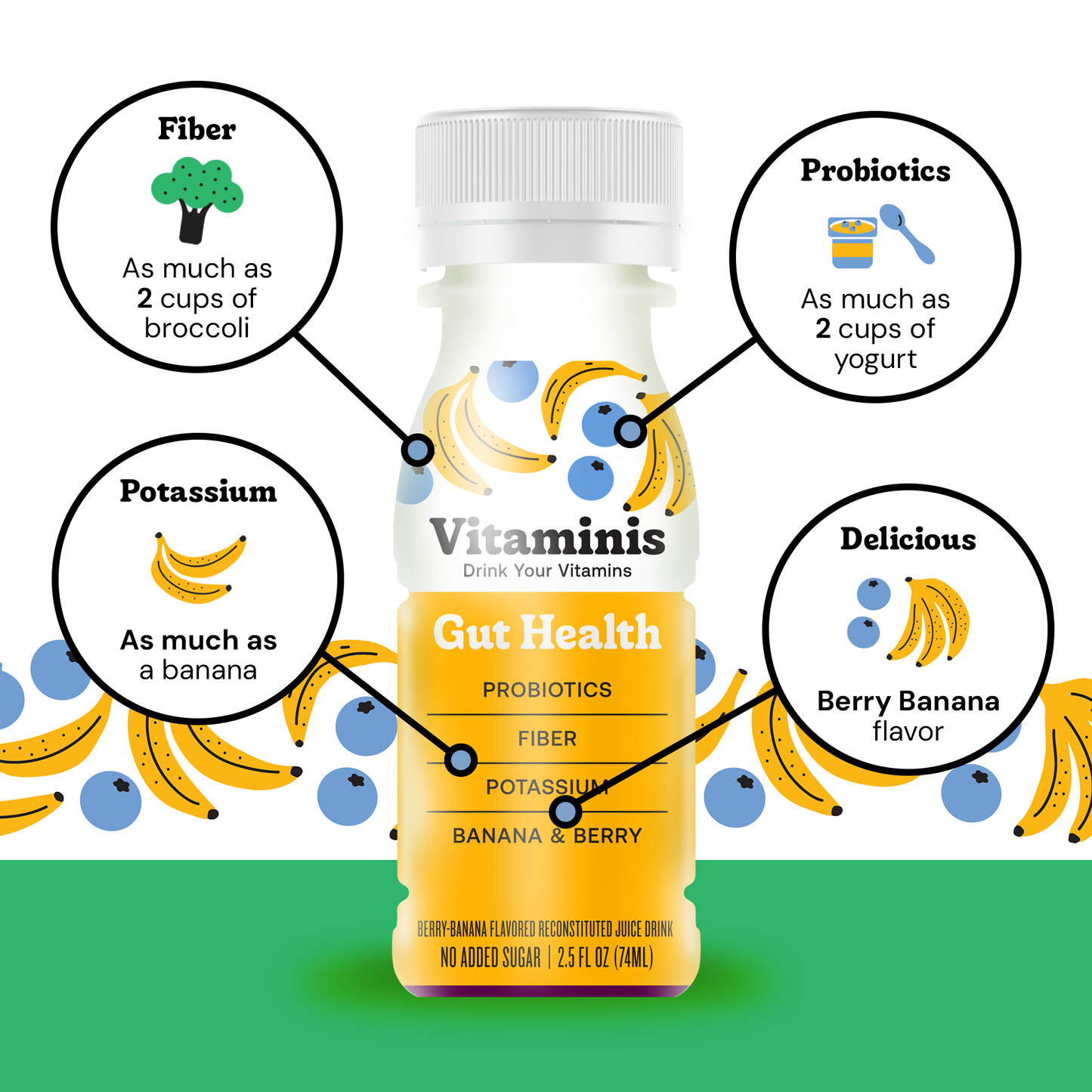 Gut Health