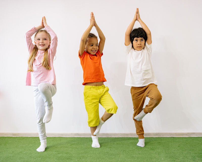The Power of Understanding Immunity: A Body in Motion...