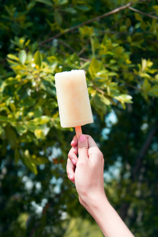 A Dream of a Treat: Immune Support Popsicles