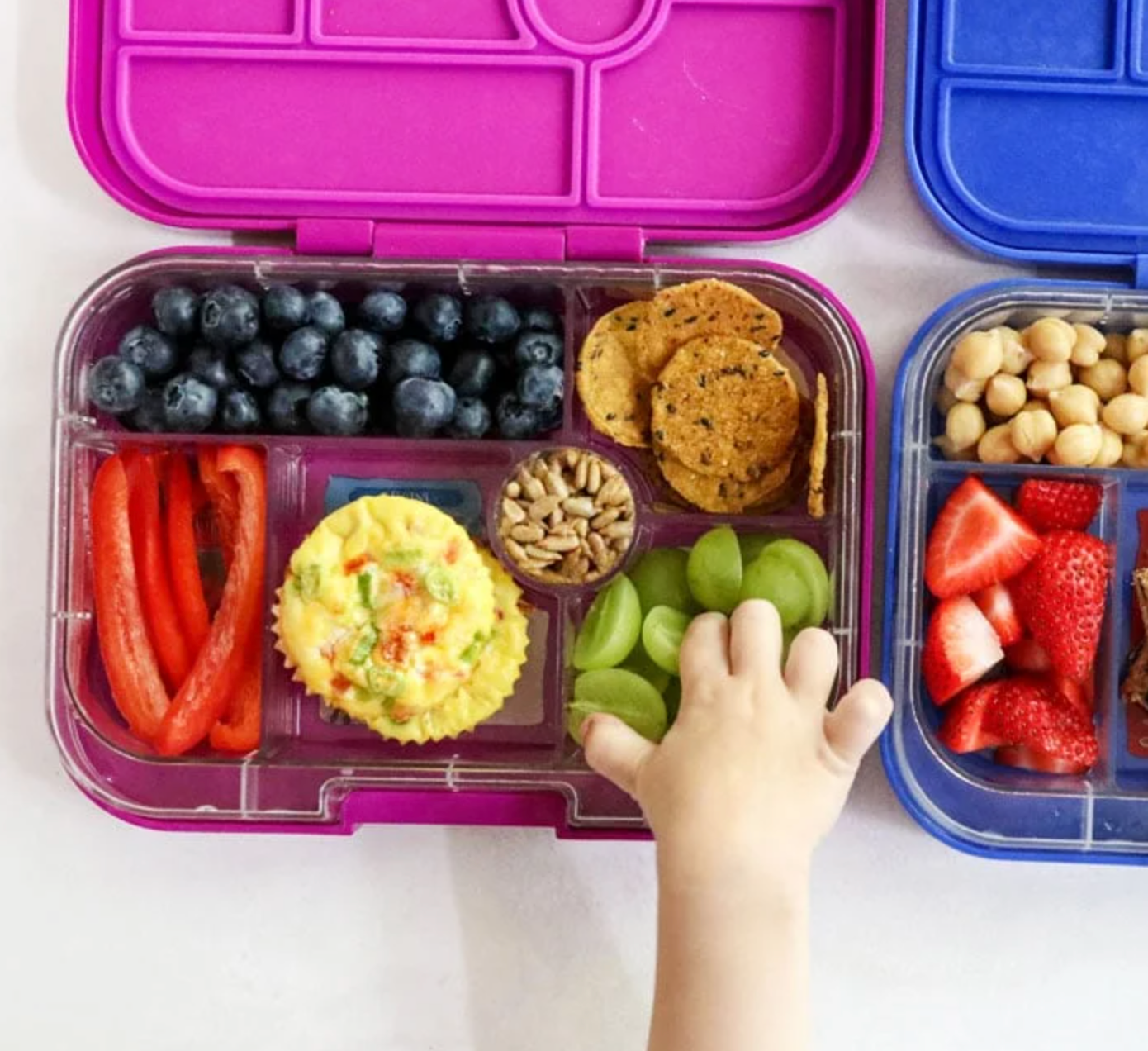 Get back to school with fun filled lunch boxes!