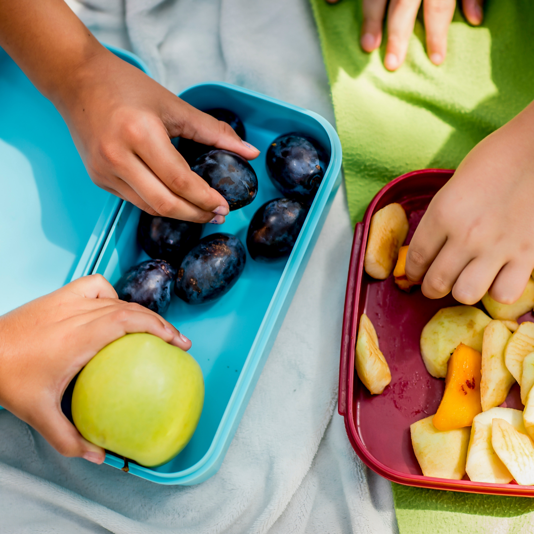 Making Meal Time Fun: Feeding Gear for the Whole Fam